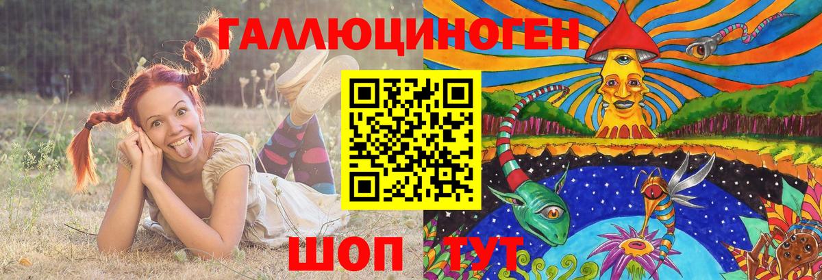 Галлюциногенные грибы Psilocybe Шебекино