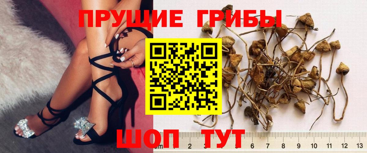 Шебекино  Галлюциногенные грибы мицелий  Вход с VPN 